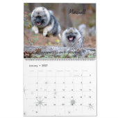 Mural Calendrier 2017 de Trumpet Keeshond (Jan 2027)