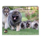 Mural Calendrier 2017 de Trumpet Keeshond (Protection)