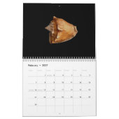 Mural Calendrier 2017 des coquilles (Feb 2027)