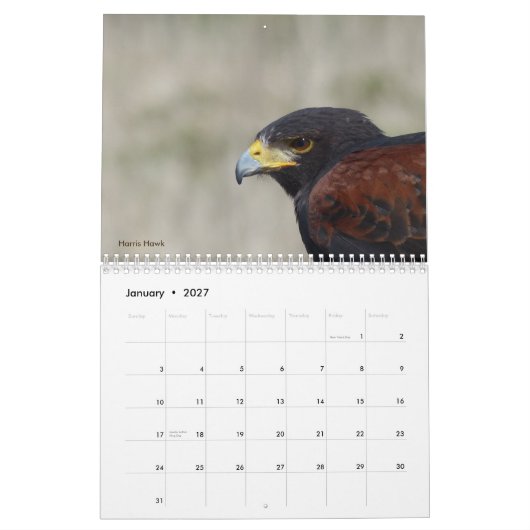 Mural Calendrier 2017 - Oiseaux d'Amérique du Nord (Jan 2027)