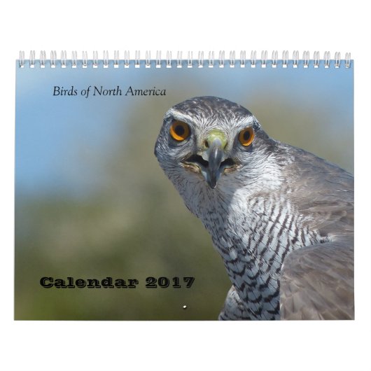 Mural Calendrier 2017 - Oiseaux d'Amérique du Nord (Protection)