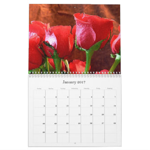 Mural Calendrier 2017 - Roses Rouges Calendrier