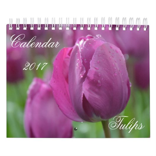 Mural Calendrier 2017 Tulipes (Protection)