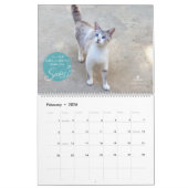 Mural Calendrier 2018 de chat - chats gais (Feb 2026)