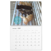 Mural Calendrier 2018 de chat - chats gais (Jan 2027)