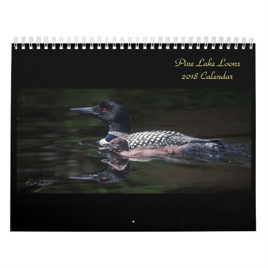 Mural Calendrier 2018 de dingue de lac pine (Protection)