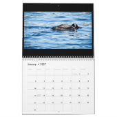 Mural Calendrier 2018 de dingue de lac pine (Jan 2027)
