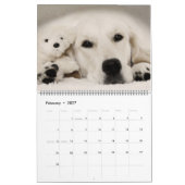 Mural Calendrier 2018 de golden retriever (Feb 2027)