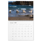 Mural Calendrier 2018 de golden retriever (Jan 2027)