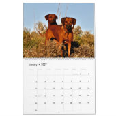 Mural Calendrier 2018 de Liondog - de Rhodesian (Jan 2027)