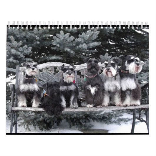 Mural Calendrier 2018 de Schnauzer (Protection)