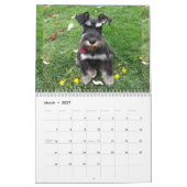 Mural Calendrier 2018 de Schnauzer (Mar 2027)