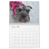 Mural Calendrier 2018 de Schnauzer (Jan 2027)