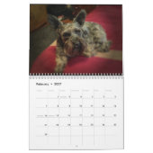Mural Calendrier 2018 de Schnauzer (Feb 2027)