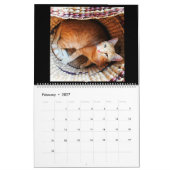 Mural Calendrier. 2018. Le calendrier de ferme de (Feb 2027)