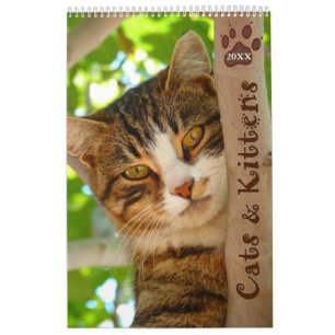 Mural Calendrier 2021 des chats et des chatons de manièr