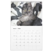 Mural Calendrier 2021 des chats et des chatons de manièr (Mar 2026)