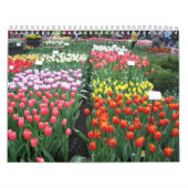 Mural Calendrier 8 de fleur (Protection)