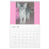 Mural Calendrier abyssinien de chatons et de chats (Mar 2027)