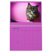 Mural Calendrier adoptif du chaton de Lindsay 2017 (Jan 2027)