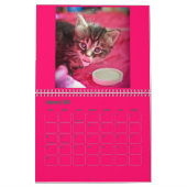 Mural Calendrier adoptif du chaton de Lindsay 2017 (Feb 2027)