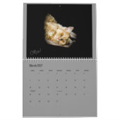 Mural Calendrier adoptif du chaton de Lindsay 2017 (Mar 2027)