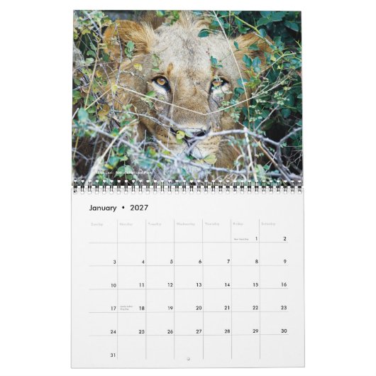 Mural Calendrier - Afrique sur le safari (Jan 2027)