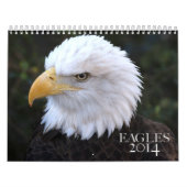 Mural Calendrier américain d'Eagle chauve 2014 (Protection)