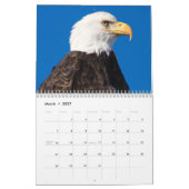 Mural Calendrier américain d'Eagle chauve 2014 (Mar 2027)