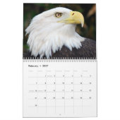 Mural Calendrier américain d'Eagle chauve 2014 (Feb 2027)