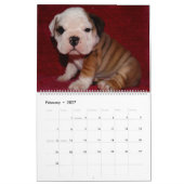 Mural Calendrier anglais 2016 de bouledogue (Feb 2027)