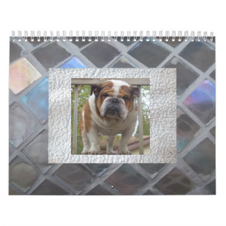Mural Calendrier anglais de bouledogue