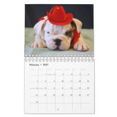 Mural Calendrier anglais des chiots 2015 de bouledogue (Feb 2027)