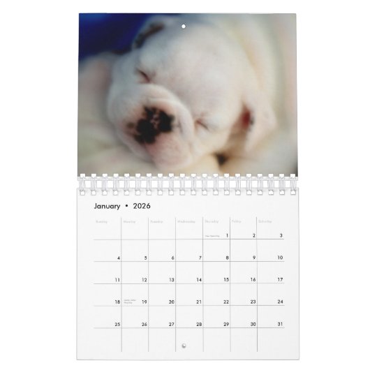 Mural Calendrier anglais des chiots 2015 de bouledogue (Jan 2026)