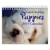 Mural Calendrier anglais des chiots 2015 de bouledogue (Protection)