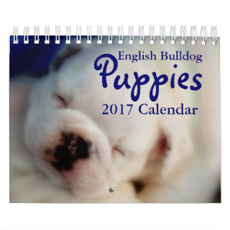 Mural Calendrier anglais des chiots 2017 de bouledogue