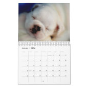 Mural Calendrier anglais des chiots 2017 de bouledogue (Jan 2026)