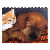 Mural Calendrier animal 2013 (Protection)