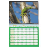 Mural Calendrier animal 6 (Mar 2027)