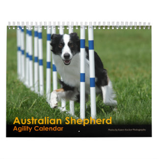 Mural Calendrier australien d'agilité de berger