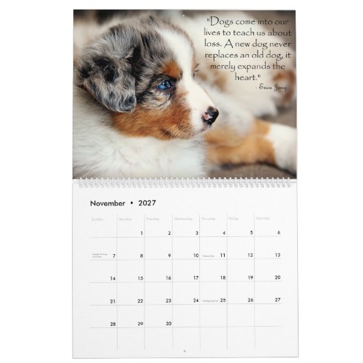 Mural Calendrier australien de chiots de berger (Nov 2027)