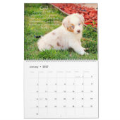 Mural Calendrier australien de chiots de berger (Jan 2027)