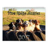 Mural Calendrier australien de chiots de berger (Protection)