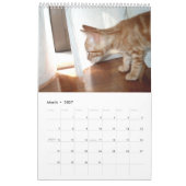 Mural Calendrier avec des chats - customisés (Mar 2027)