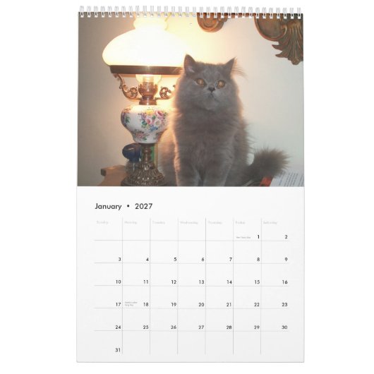 Mural Calendrier avec des chats - customisés (Jan 2027)