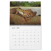 Mural Calendrier avec des grenouilles d'étang (Mar 2026)
