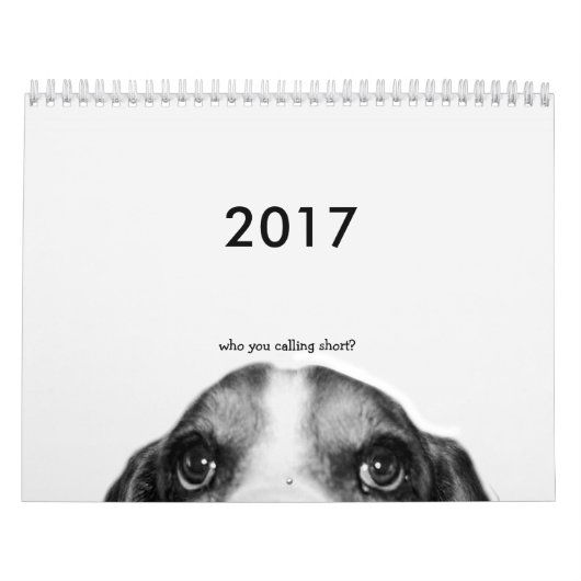 Mural Calendrier Basset Hound 2017 (Protection)