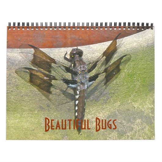 Mural Calendrier - Beaux bugs (Protection)