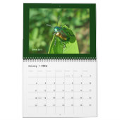 Mural Calendrier - Beaux bugs (Jan 2026)