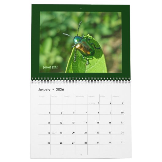 Mural Calendrier - Beaux bugs (Jan 2026)